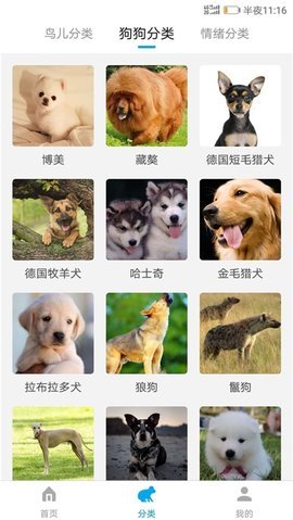 动物翻译器免费版APP