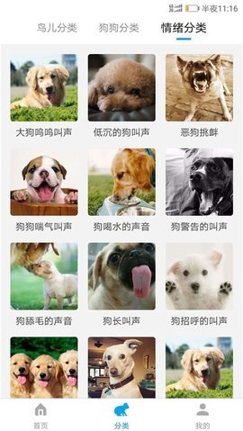 动物翻译器免费版APP