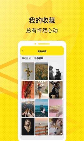 星星壁纸高清APP