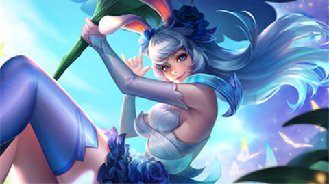 王者荣耀去布料神器APP