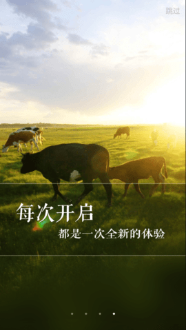 新牛智能APP