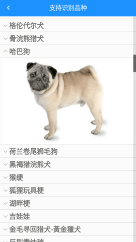 万能拍照识别APP
