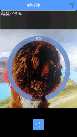 万能拍照识别APP
