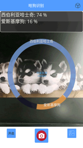 万能拍照识别APP