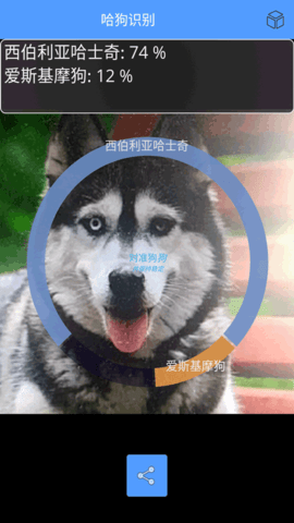 万能拍照识别APP