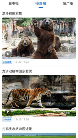 看齐新闻APP