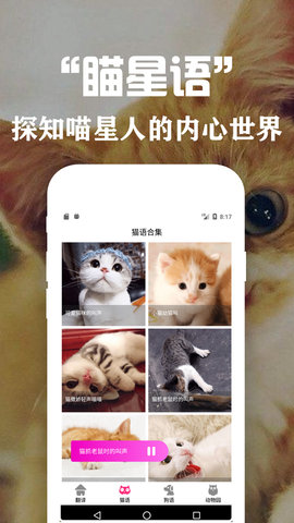 狗语翻译交流器appAPP