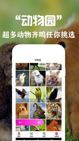 狗语翻译交流器appAPP