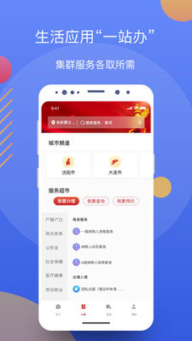 辽事通政务服务网APP