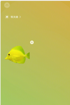 微信养宠物APP