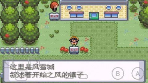 口袋妖怪暗黑银神兽作弊版游戏