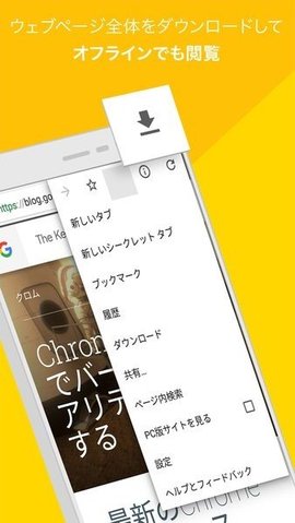 谷歌浏览器日版