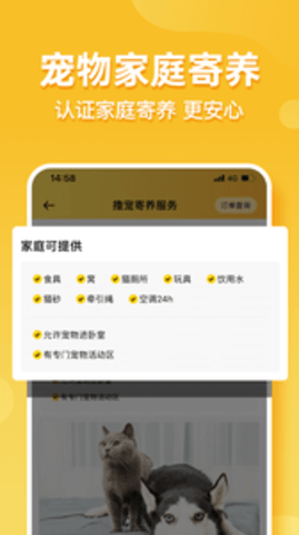 撸宠官方版APP
