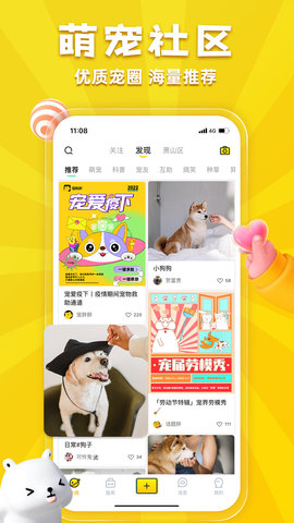 宠胖胖appAPP