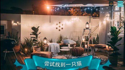 寻找猫2游戏