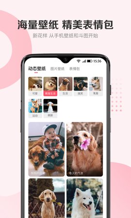 68宠物appAPP