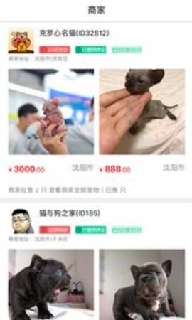 猫行狗市宠物交易市场APP