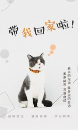 猫行狗市宠物交易市场APP