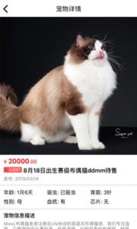 猫行狗市宠物交易市场APP
