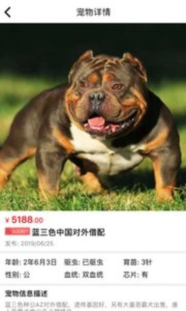 猫行狗市宠物交易市场APP