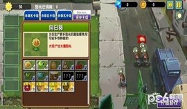 PVZ����̽��