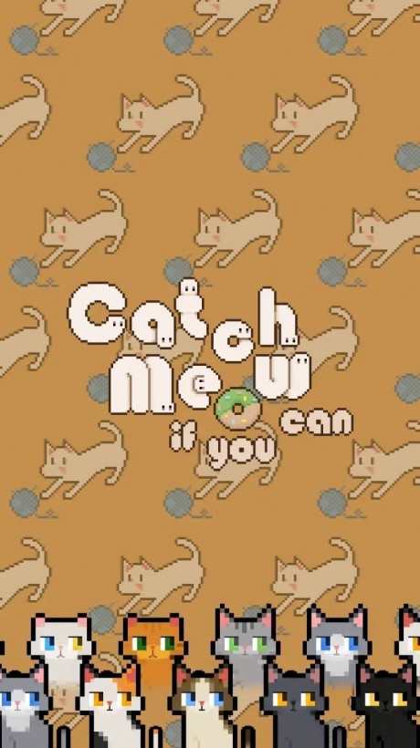 数猫猫游戏游戏