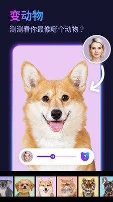 彩红相机APP