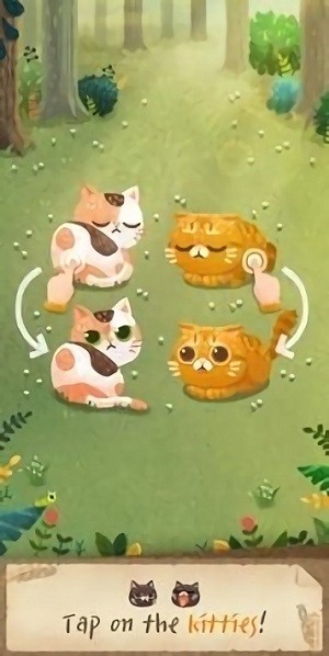 秘密猫森林游戏