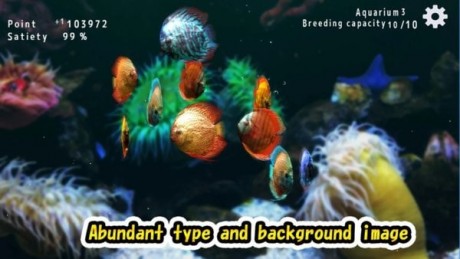 热带鱼水族馆游戏