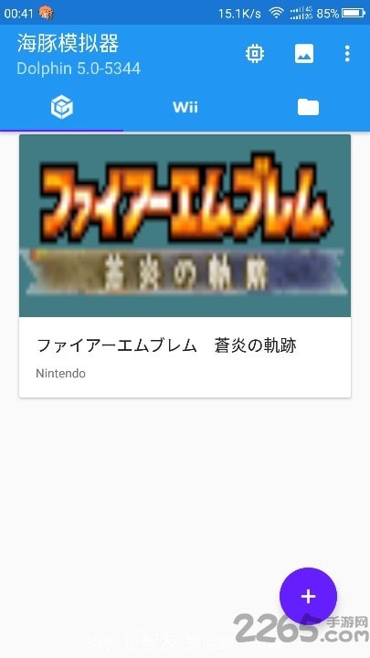 dolphin模拟器游戏
