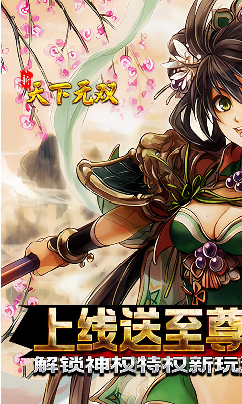 新天下无双游戏