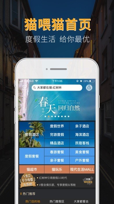 喂猫appAPP