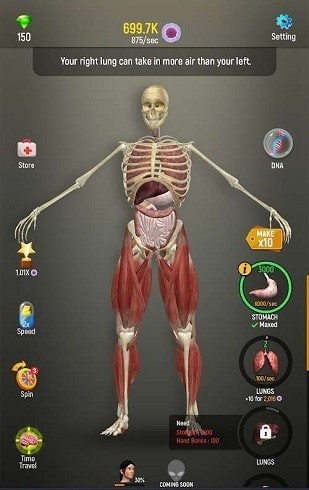 人体模型模拟器中文版APP