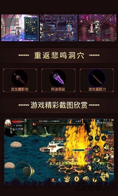 重返阿拉德游戏