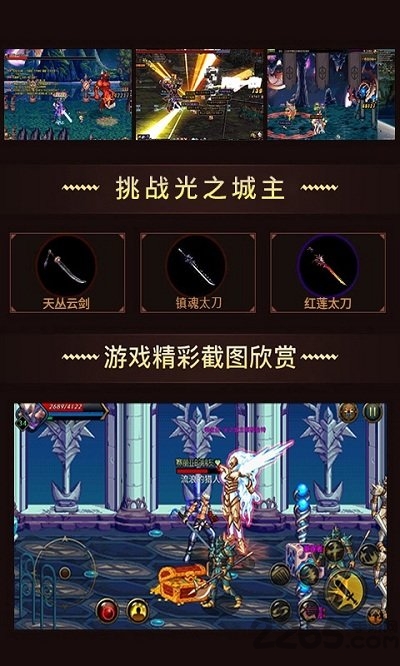 重返阿拉德游戏