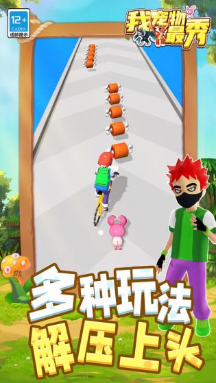 我宠物最秀游戏