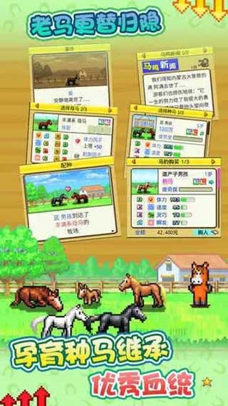 赛马牧场物语下载正版游戏