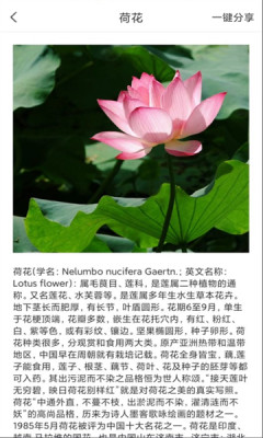 天天扫描王APP