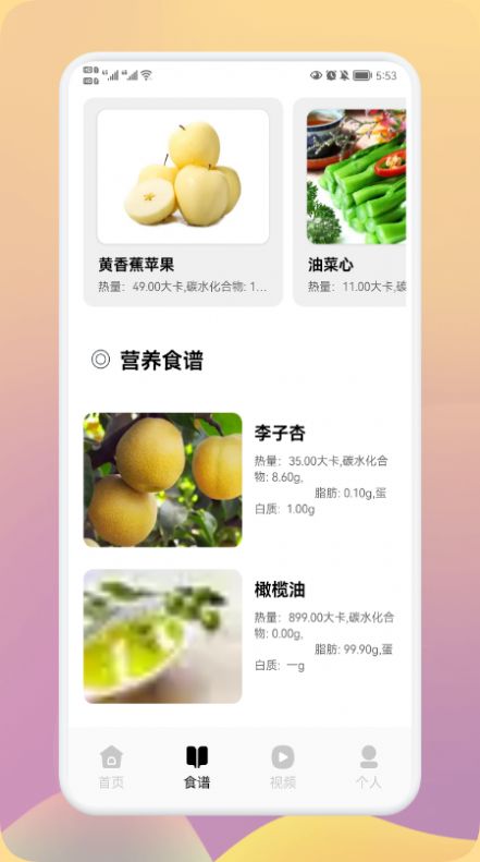 瘦身计划大师APP