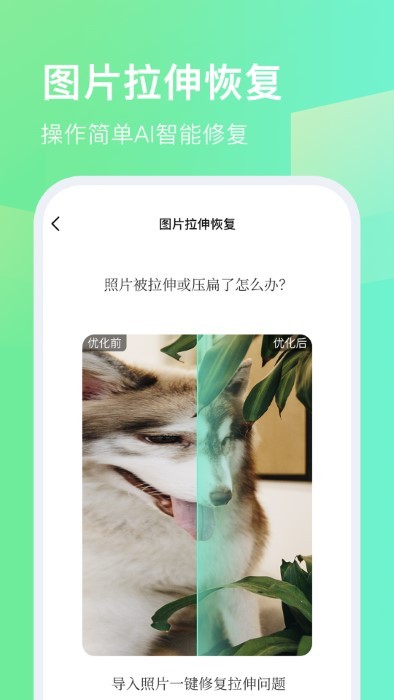 今天拍水印相机appAPP