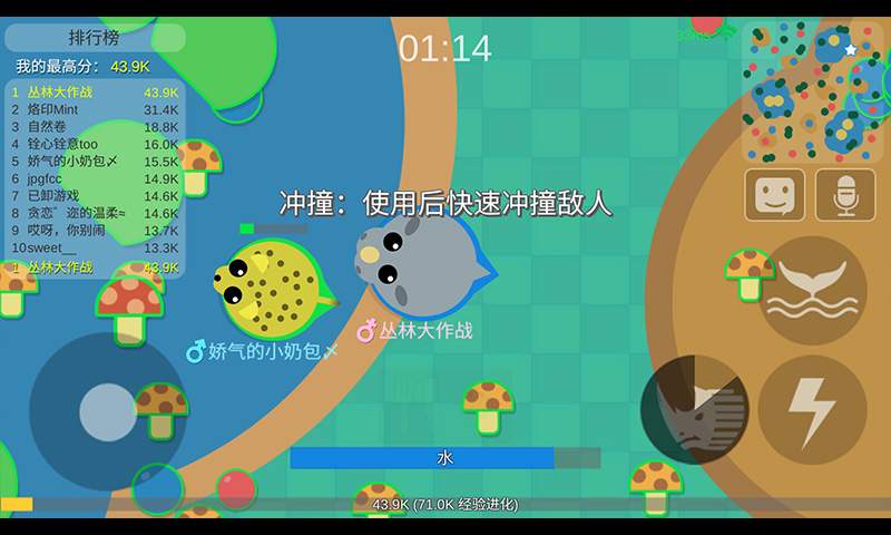 丛林大作战游戏