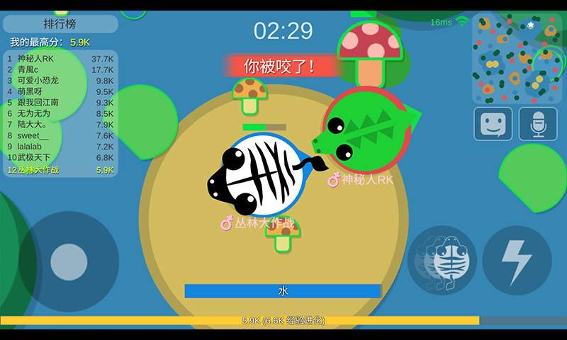 丛林大作战游戏