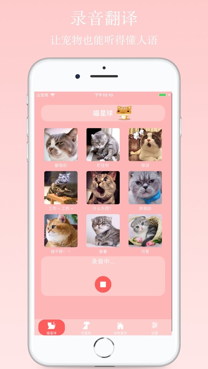 猫狗语翻译器正版APP
