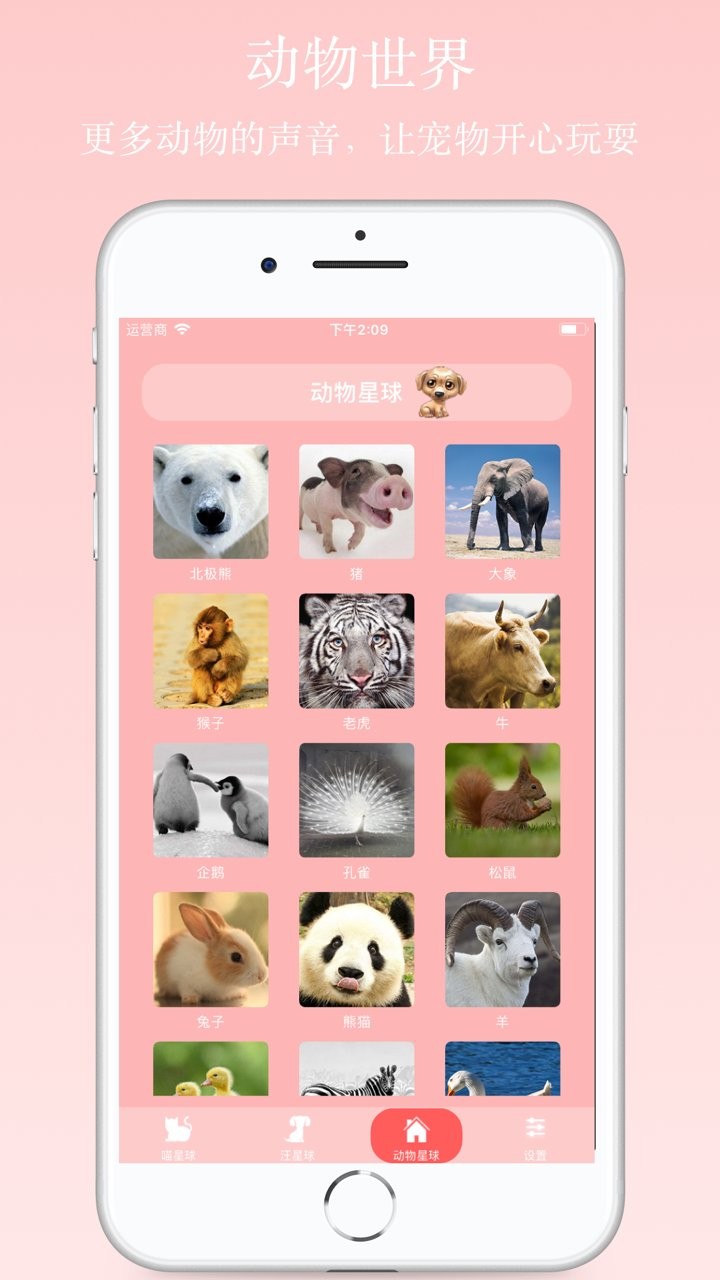 猫狗语翻译器正版APP