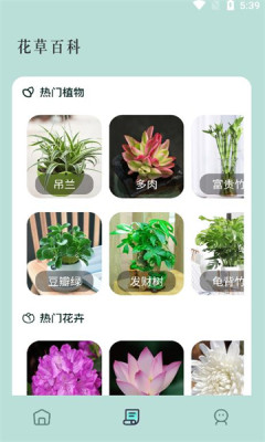 小黄养花APP
