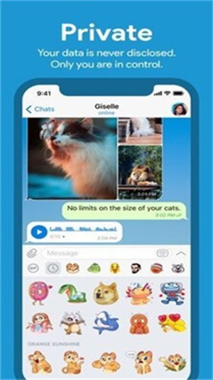 纸飞机中文版APP