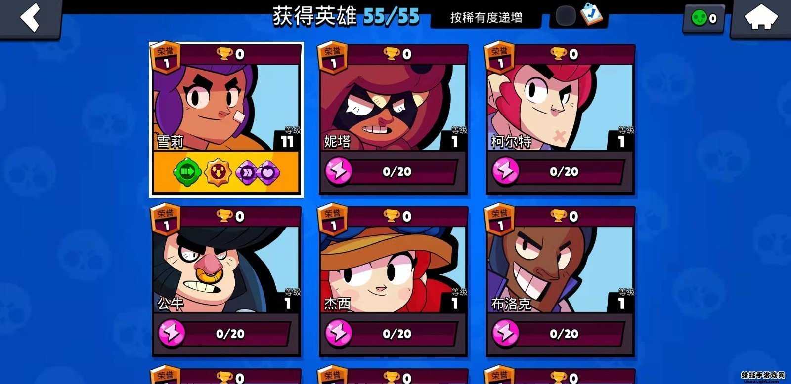 荒野乱斗私人版游戏