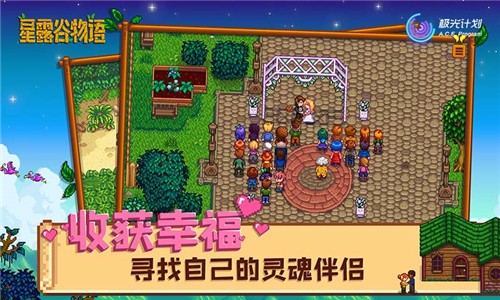星露谷物语枫姨美化版游戏