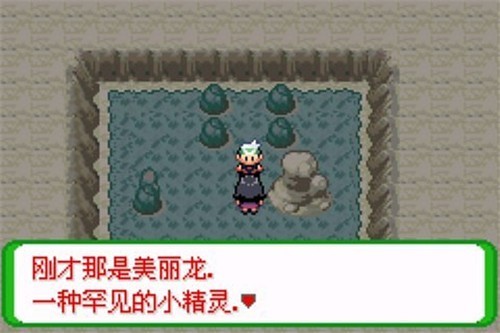 口袋妖怪空之花神游戏