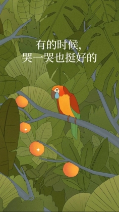 孤独的鸟儿2023游戏
